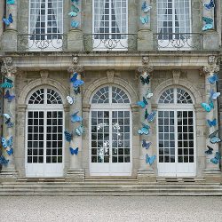 joy-de-rohan-chabot-exposition-chateau-haroue-papillons