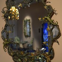 joy-de-rohan-chabot-miroir-nature-exposition